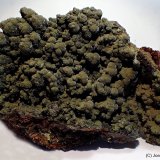 Mottramita
9 x 6 cm
(Autor: Joan Niella)