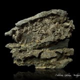 Plata nativa
117 x 88 x 50 mm.
(Autor: Rafael Galiana)