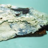 Variscita
90x50 mm
(Autor: Joan Niella)