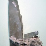 Celestina
65x15 mm
(Autor: Joan Niella)