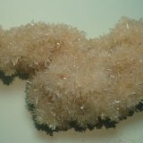 Yeso
120x45 mm
(Autor: Joan Niella)