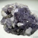 Fluorita
75x60 mm
(Autor: Joan Niella)