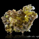 Wulfenita en Dolomita
89 x 63 x 36 mm.
(Autor: Rafael Galiana)