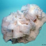 Halita
80x60 mm
(Autor: Joan Niella)