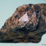 Scheelita
30x18 mm
(Autor: Joan Niella)