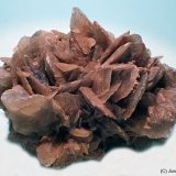 Yeso
70x55 mm
(Autor: Joan Niella)