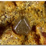 Clorargirita.
Cristal de 0,25mm
(Autor: Rafa Muñoz(mineralvarado))