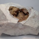 Celestina
12 x 7 cm
(Autor: Joan Niella)
