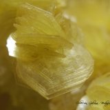 Lepidolita
Encuadre de la fotografía 11 mm.
(Autor: Rafael Galiana)