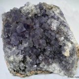 Fluorita
70x55 mm
(Autor: Joan Niella)