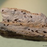 Dolomita (variedad teruelita)
85 x 45 mm
(Autor: Joan Niella)