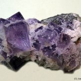 Fluorita
45 x 35 mm
(Autor: Joan Niella)