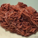 Yeso (variedad rosa del desierto)
85 x 70 mm
(Autor: Joan Niella)