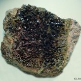 Epidota
80x75mm
(Autor: Joan Niella)