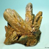 Estibiconita
50x50 mm
(Autor: Joan Niella)