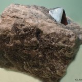 Dolomita (variedad teruelita)
6 x 4 cm
(Autor: Joan Niella)