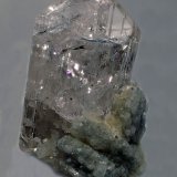 Danburita
25 x 15 mm
(Autor: Joan Niella)