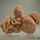 Yeso (variedad rosa del desierto)
106 x 73 x 72 mm.
(Autor: Rafael Galiana)
