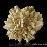 Calcita (variedad glendonita) pseudomórfica de Ikaita
82 x 77 x 53 mm.
(Autor: Rafael Galiana)