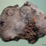 Yeso
100x80 mm
(Autor: Joan Niella)