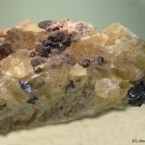 Galena
95 x 70 mm
(Autor: Joan Niella)