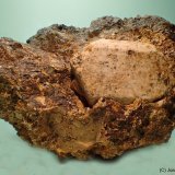 Ortoclasa
80 x 55 mm
(Autor: Joan Niella)