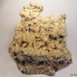 Yeso
10 x 10 cm
(Autor: Joan Niella)