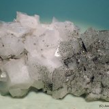 Ortoclasa (variedad adularia)
9 x 5 cm
(Autor: Joan Niella)