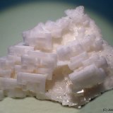 Halita
9 x 8 cm
(Autor: Joan Niella)