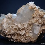 Berilo (variedad aguamarina), Moscovita
75 x 60 mm
(Autor: Joan Niella)