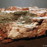 Libethenita
75 x 45 mm
(Autor: Joan Niella)