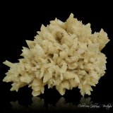 Yeso
120 x 83 x 55 mm
(Autor: Rafael Galiana)