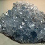 Celestina
70x60 mm
(Autor: Joan Niella)