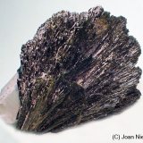 Epidota
70 x 55
(Autor: Joan Niella)