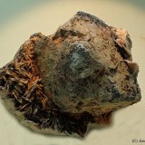 Galena
55 x 40 mm
(Autor: Joan Niella)