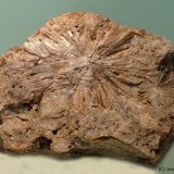 Vesuvianita (Vesubiana)
65 x 50 mm
(Autor: Joan Niella)