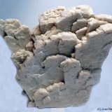 Ortoclasa
8 x 6 cm
(Autor: Joan Niella)