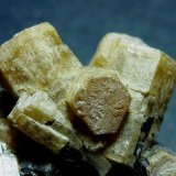 Vanadinita (variedad vanadinita arsenical), Mottramita
5 x 4 cm. la pieza, cristal mayor 1 cm.
(Autor: javier ruiz martin)