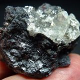 Anglesita, Galena
4 x 4 cm. la pieza, 0,6 x 0,4 cm. el cristal
(Autor: javier ruiz martin)