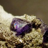 Fluorita, Pirita
0,2 cm. el cristal de Fluorita
(Autor: javier ruiz martin)