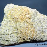 Fluorapatito
110x85 mm
(Autor: Joan Niella)