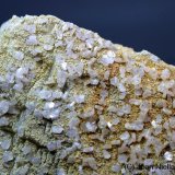 Fluorapatito
CV 4x3 cm
(Autor: Joan Niella)