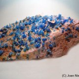 Calcantita
13 x 6 cm
(Autor: Joan Niella)
