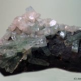 Fluorapophyllita-(K) (Apofilita)
100x50 mm
(Autor: Joan Niella)