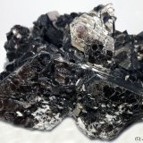 Moscovita
80x50 mm
(Autor: Joan Niella)