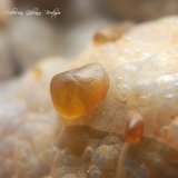 Smithsonita (variedad monheimita)
Encuadre de la fotografía 10 mm
(Autor: Rafael Galiana)