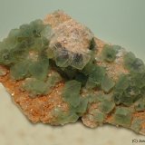 Fluorita
8 x 5 cm
(Autor: Joan Niella)