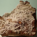 Apatito (Grupo)
7 x 6 cm
(Autor: Joan Niella)