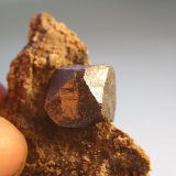 Galena
5,5 x 4 cm.
(Autor: minero1968)