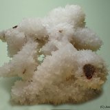Calcita
7 x 7 cm
(Autor: Joan Niella)